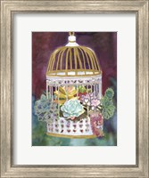 Succulent Bird House Fine Art Print