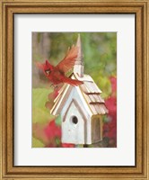 Cardinal Bird House Fine Art Print
