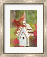 Cardinal Bird House Fine Art Print