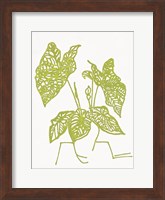 Tropical Plant 1 Fine Art Print