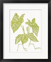 Tropical Plant 1 Fine Art Print