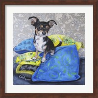 Chihuahua Pillows II Fine Art Print