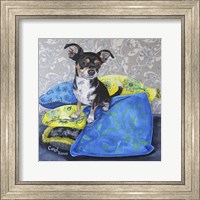Chihuahua Pillows II Fine Art Print