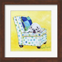 Bulldog on Polka Dots Fine Art Print