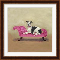 Italian Greyhound on Pink Fine Art Print