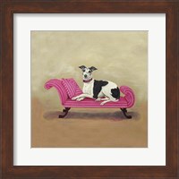 Italian Greyhound on Pink Fine Art Print