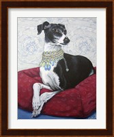 Italian Greyhound on Red Fine Art Print