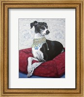 Italian Greyhound on Red Fine Art Print