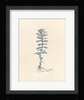 Uprooted I Fine Art Print