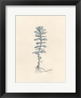 Uprooted I Fine Art Print