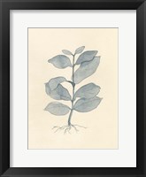 Uprooted II Fine Art Print