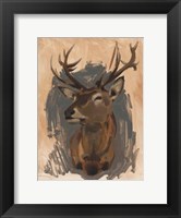 Red Deer Stag II Fine Art Print