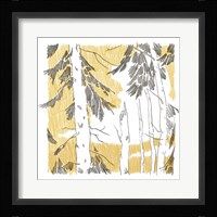 Northwood IV Framed Print