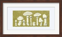 Forest Fungi I Fine Art Print