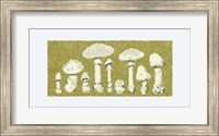 Forest Fungi I Fine Art Print