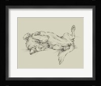 Dog Tired I Fine Art Print