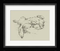 Dog Tired II Fine Art Print