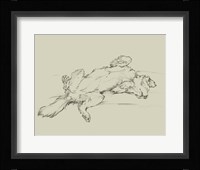 Dog Tired III Fine Art Print
