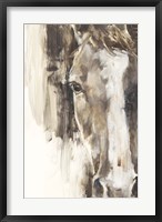 Cropped Equine Study I Fine Art Print