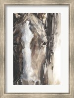 Cropped Equine Study II Fine Art Print