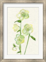 Petite Fleur VI Fine Art Print