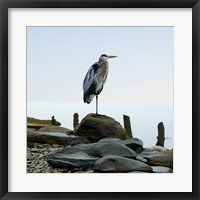 Beachscape Heron I Fine Art Print