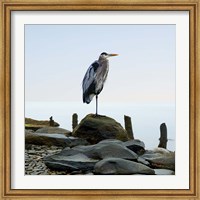 Beachscape Heron I Fine Art Print