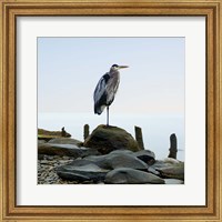 Beachscape Heron I Fine Art Print