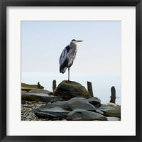 Beachscape Heron I Fine Art Print