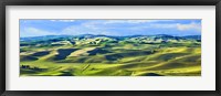 Farmscape Panorama III Fine Art Print
