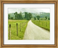 Country Road Photo I Fine Art Print