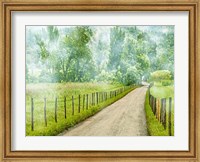 Country Road Photo II Fine Art Print