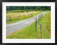 Country Road Photo III Fine Art Print