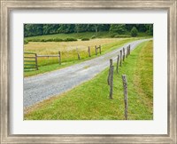 Country Road Photo III Fine Art Print