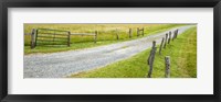 Country Road Panorama III Fine Art Print