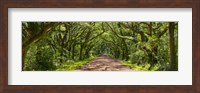 Country Road Panorama IV Fine Art Print