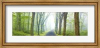 Country Road Panorama V Fine Art Print
