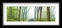 Country Road Panorama V Fine Art Print