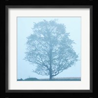 Spring Tree Fine Art Print