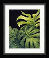 Night Monsteras I Framed Print