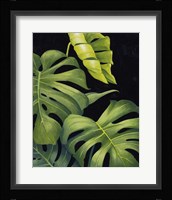 Night Monsteras II Framed Print