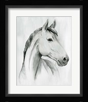 Silver Gelding I Fine Art Print