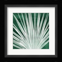 Velvet Palm I Framed Print