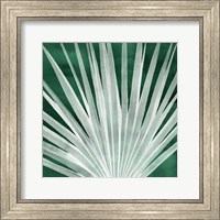 Velvet Palm I Fine Art Print