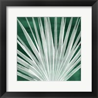 Velvet Palm I Framed Print
