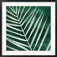 Velvet Palm III Fine Art Print