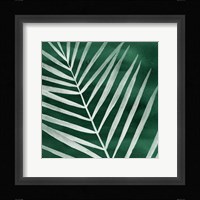 Velvet Palm III Framed Print