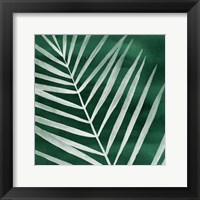 Velvet Palm III Framed Print