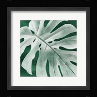 Velvet Palm IV Framed Print