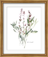 Herb Garden Sketches V Fine Art Print